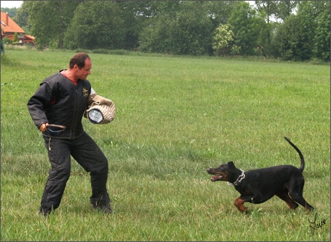 Cliff - training 6/2007